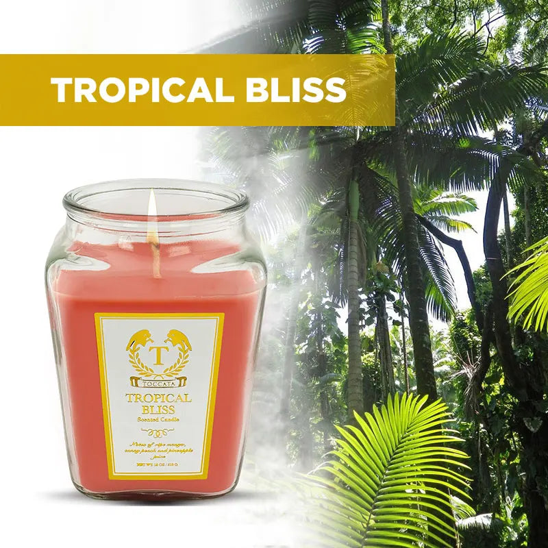 18oz Scented Candles- Holiday Gift, Stocking Stuffer