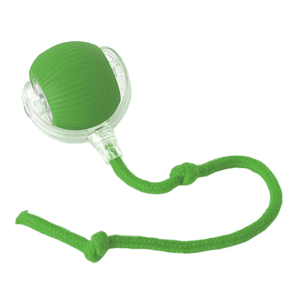 Cat Interactive Ball Toy