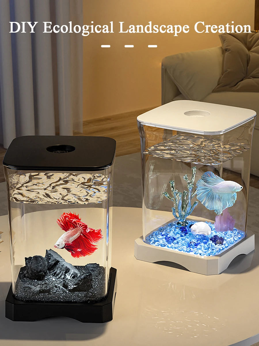 Aquarium Starter Kit,