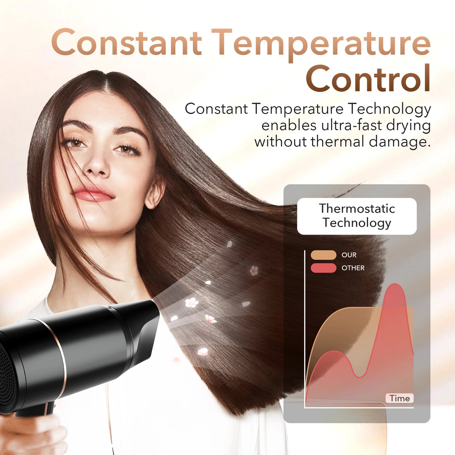 Electric Hair Dryer