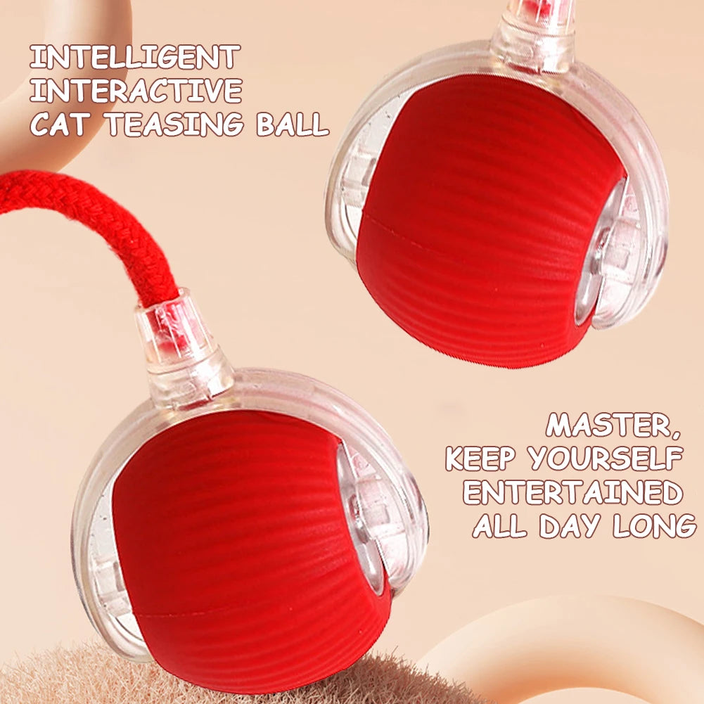Cat Interactive Ball Toy