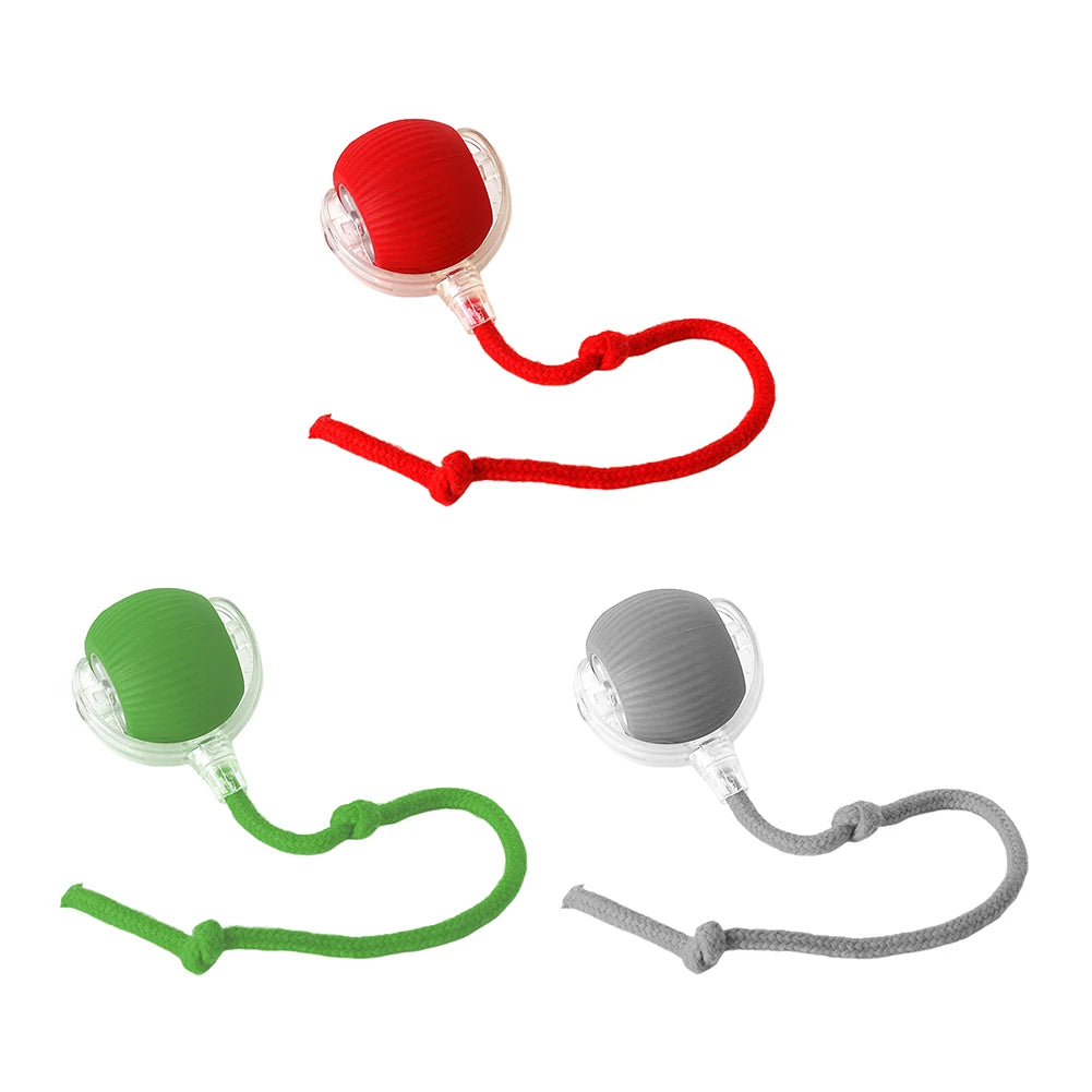 Cat Interactive Ball Toy