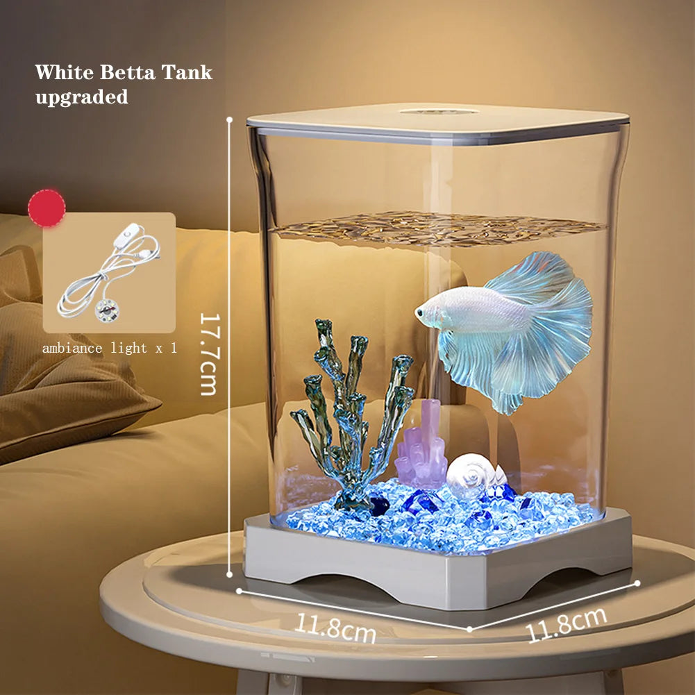 Aquarium Starter Kit,