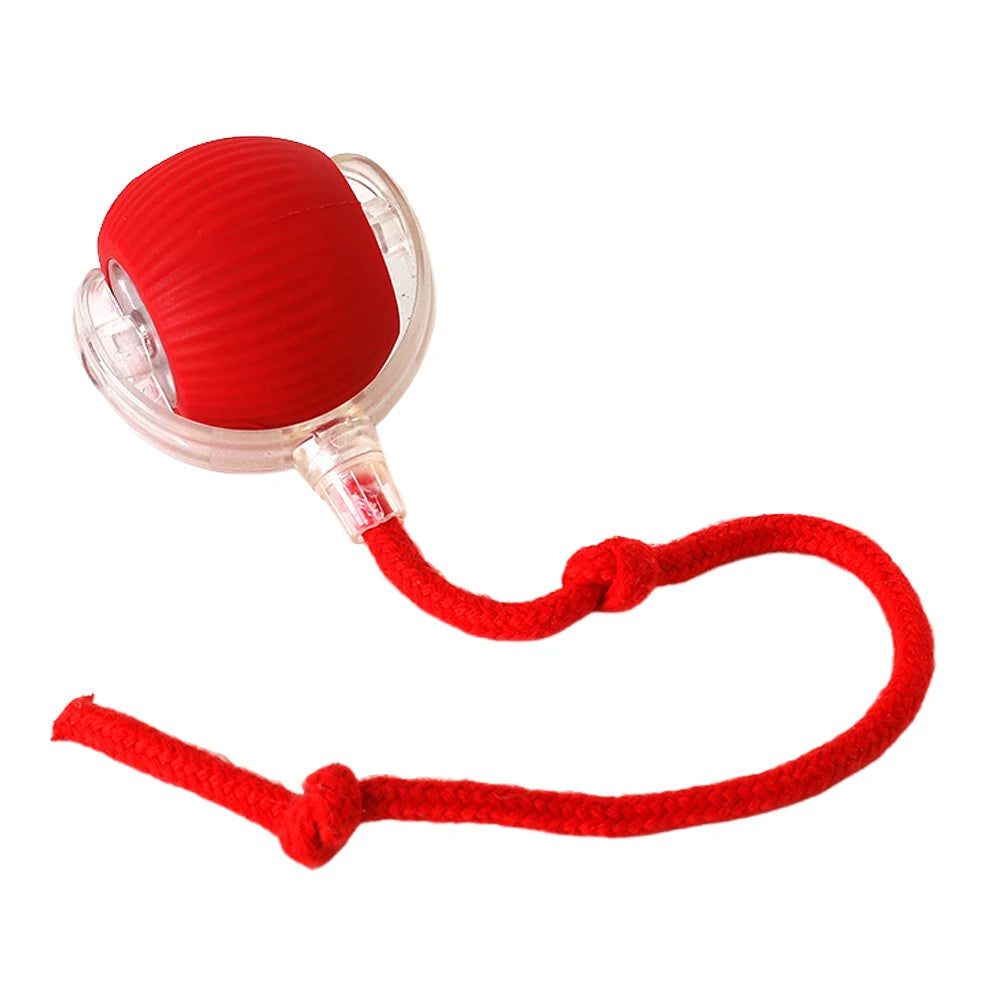 Cat Interactive Ball Toy