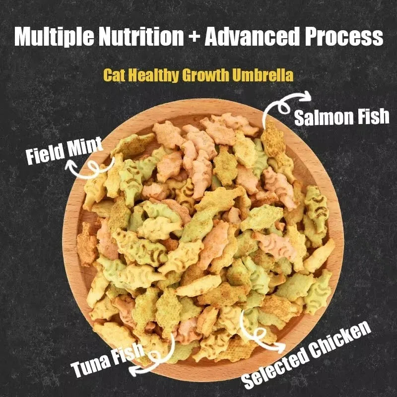Cat Biscuits Mixed flavor Snacks