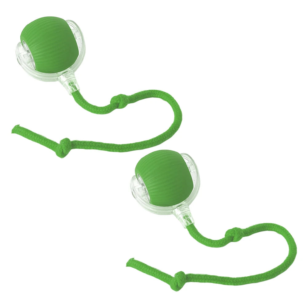 Cat Interactive Ball Toy
