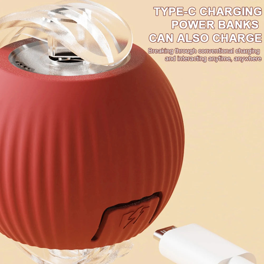 Cat Interactive Ball Toy