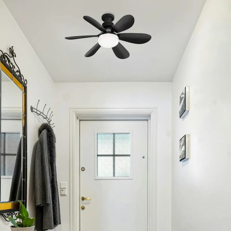 Ceiling Fans with Light