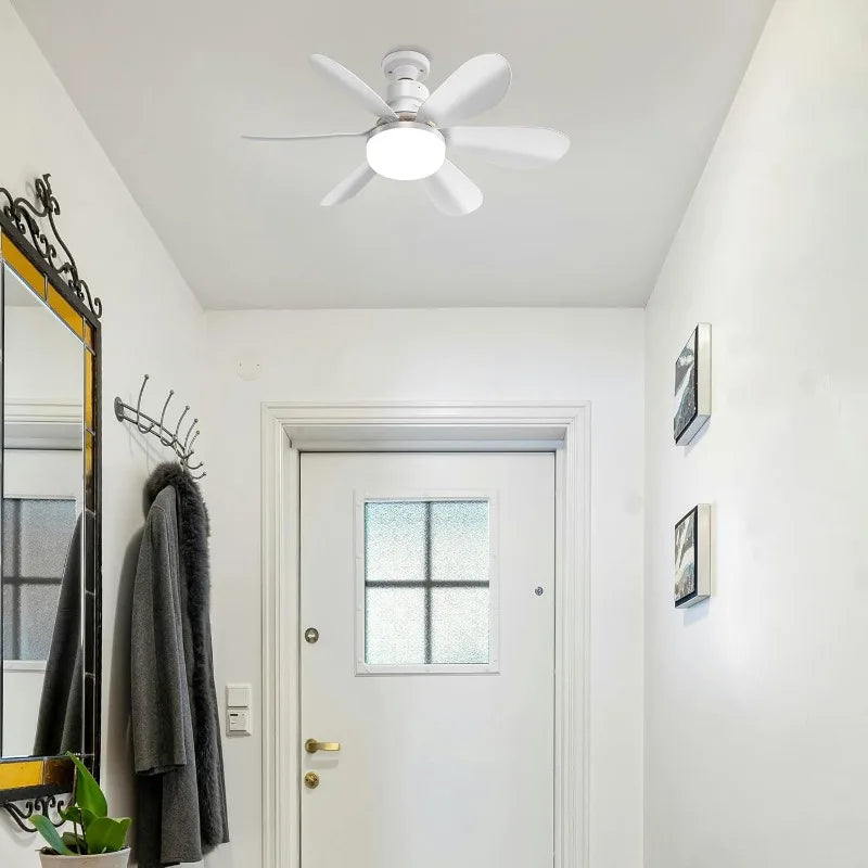 Ceiling Fans with Light
