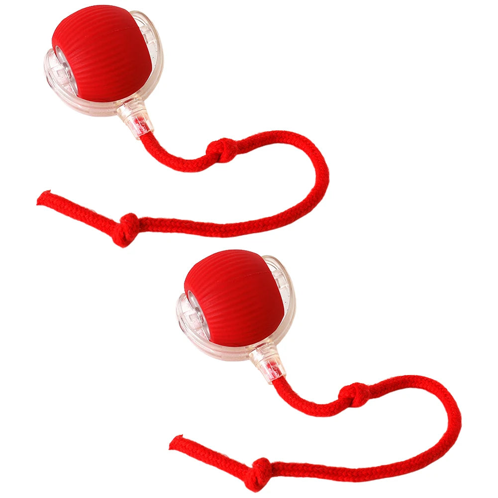 Cat Interactive Ball Toy