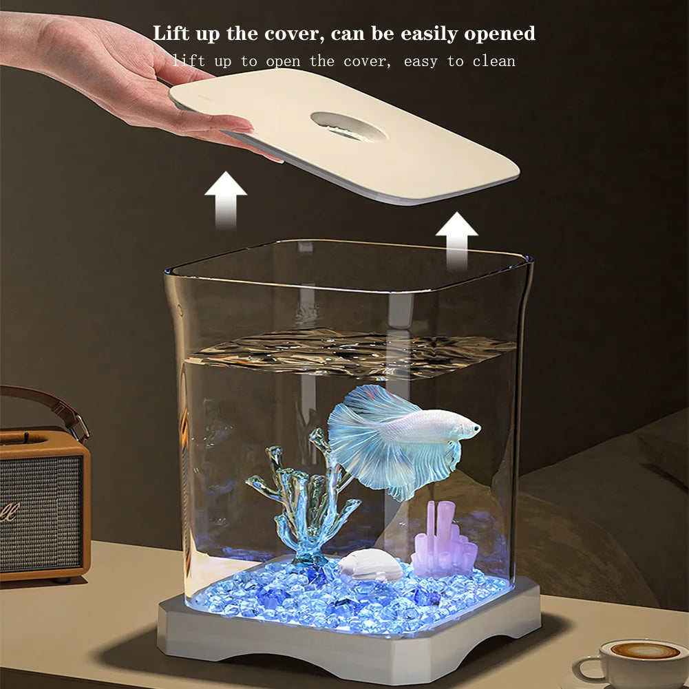 Aquarium Starter Kit,
