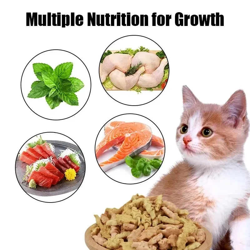 Cat Biscuits Mixed flavor Snacks