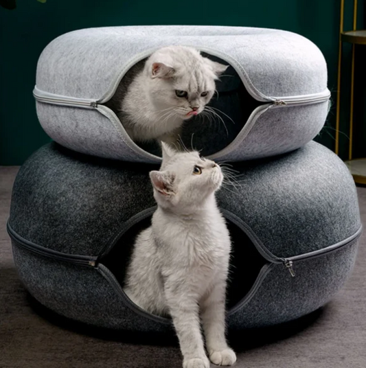 Donut Cat Bed & Tunnel Toy