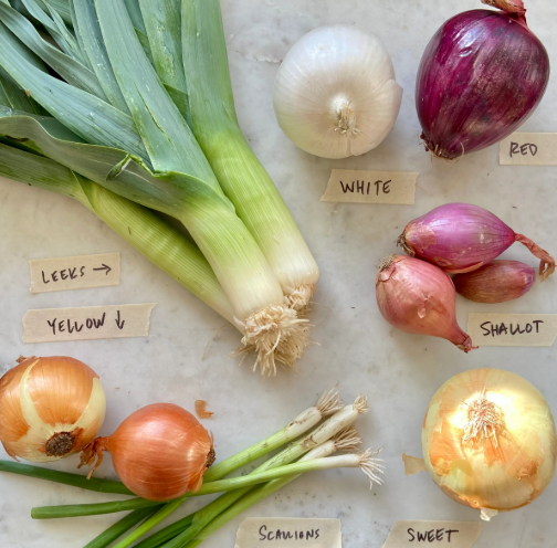 Kitchen Guide to The Onion