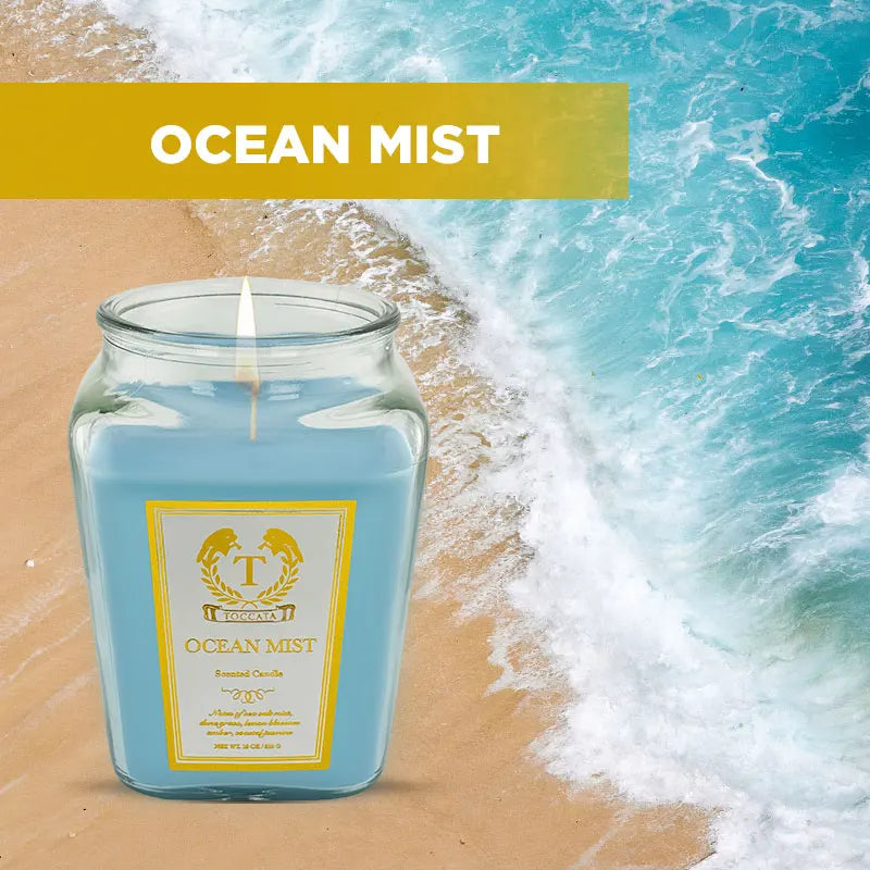 18oz Scented Candles-  Holiday Gift, Stocking Stuffer