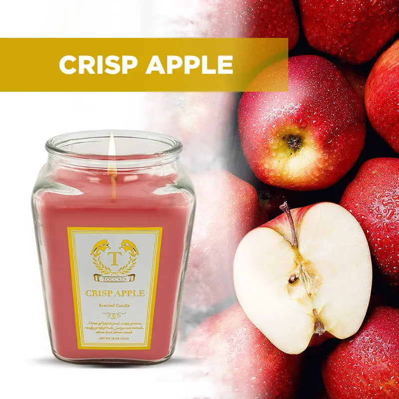 18oz Scented Candles-  Holiday Gift, Stocking Stuffer