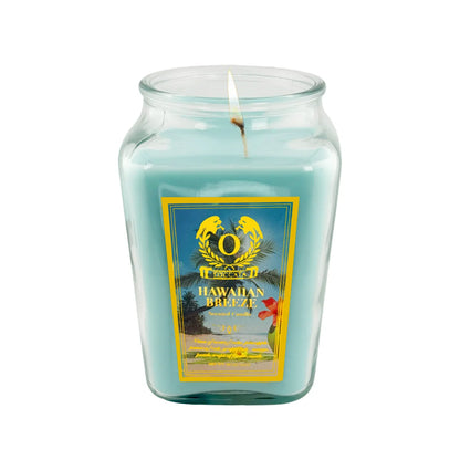 18oz  Jar Scented Candle 150 Hour Burn