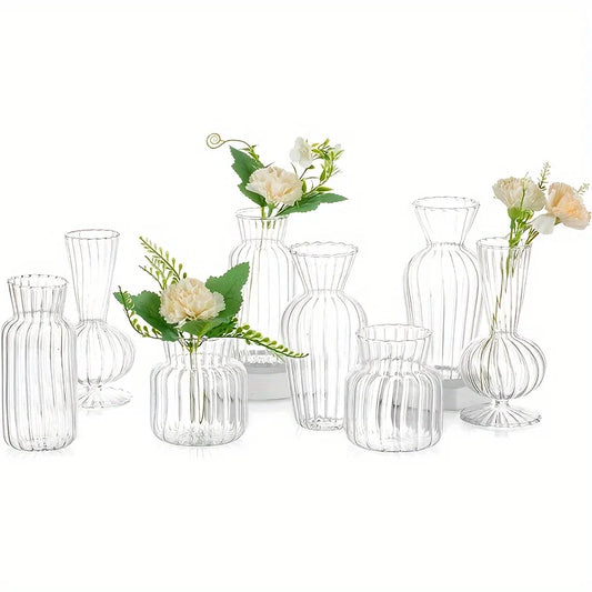 8/16 Pieces  Modern Transparent Glass Vase Set