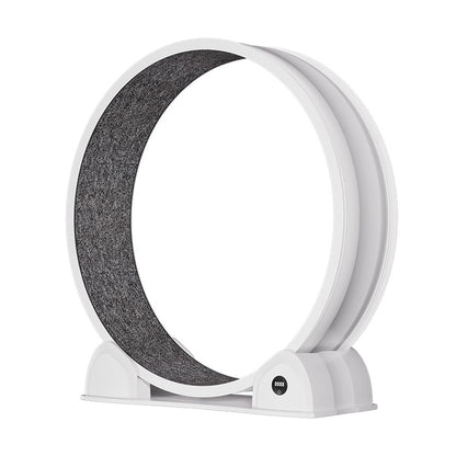 Cat Exercise Wheel for Indoor Cats,