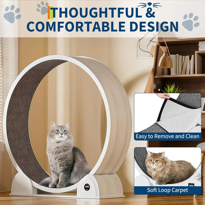 Cat Exercise Wheel for Indoor Cats,