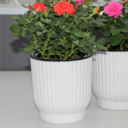 Water Absorbing Flower Pots Elegant Promote Healthy Growth Planter for Family Friend Neighbor Gift