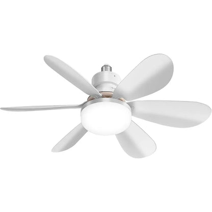 Ceiling Fans with Light