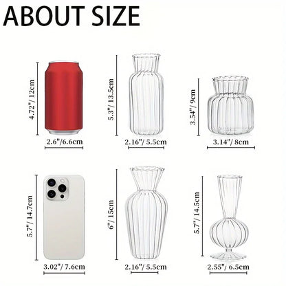 8/16 Pieces  Modern Transparent Glass Vase Set