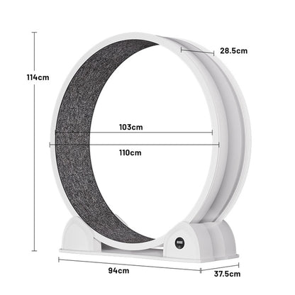 Cat Exercise Wheel for Indoor Cats,