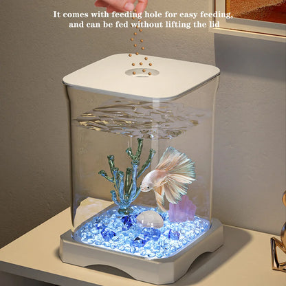 Aquarium Starter Kit,